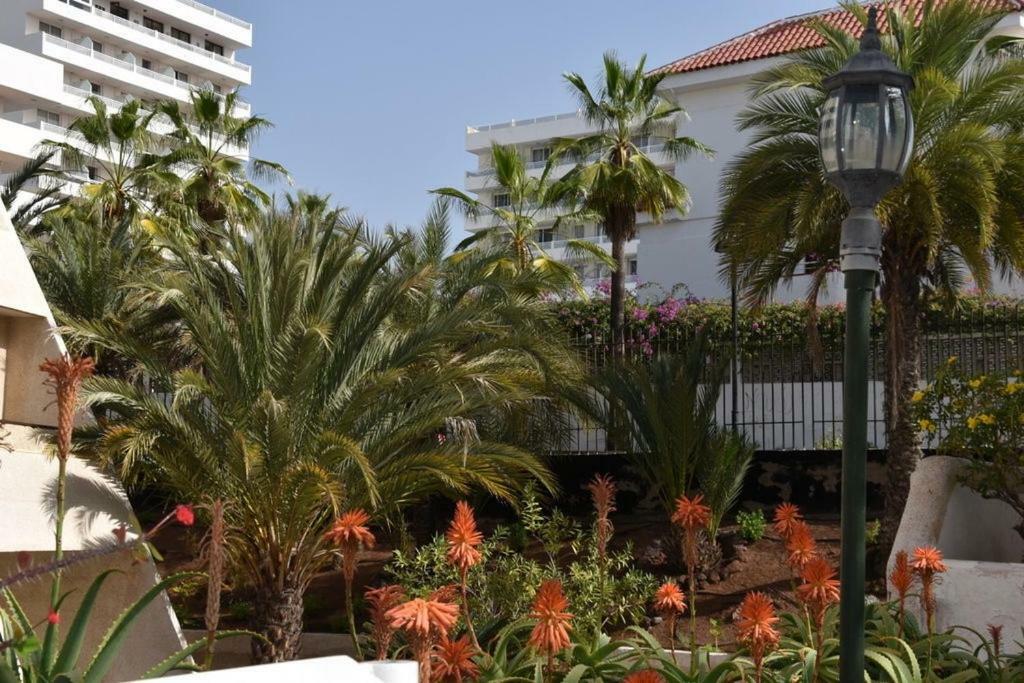 Apartamento Las Veronicas Arona  Exterior foto